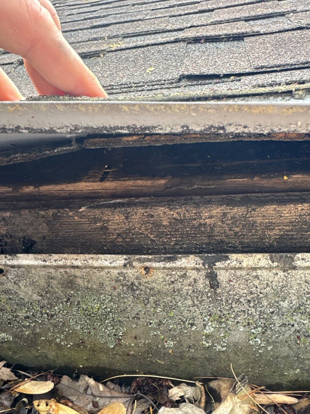 Ponding Water on Flat Roofs: Causes and Fixes for Merrimac Buildings